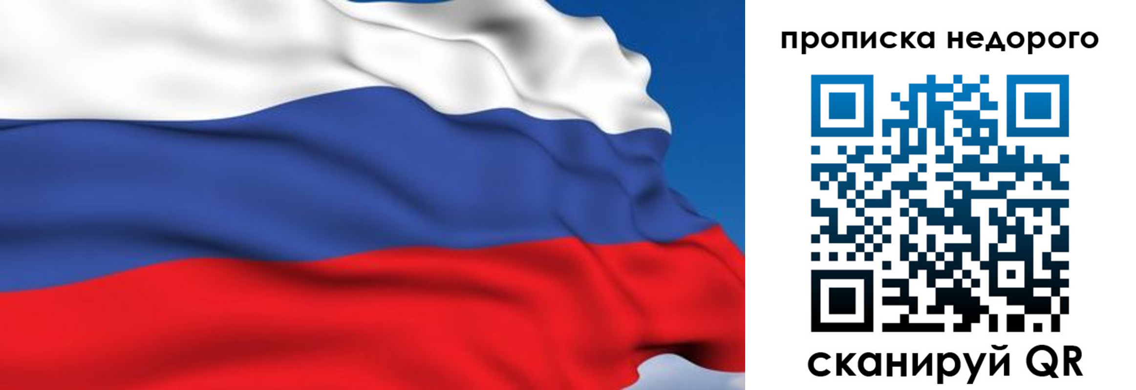 прописка поиск в Брянске